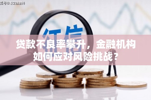 埔里贷款不良率攀升，金融机构如何应对风险挑战？