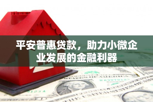 埔里平安普惠贷款，助力小微企业发展的金融利器