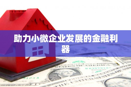 埔里助力小微企业发展的金融利器