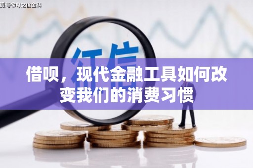 埔里借呗，现代金融工具如何改变我们的消费习惯