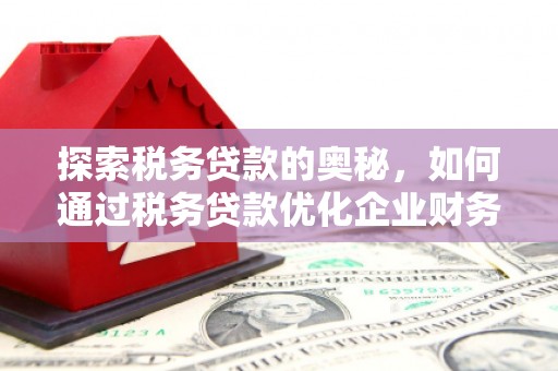 埔里探索税务贷款的奥秘，如何通过税务贷款优化企业财务