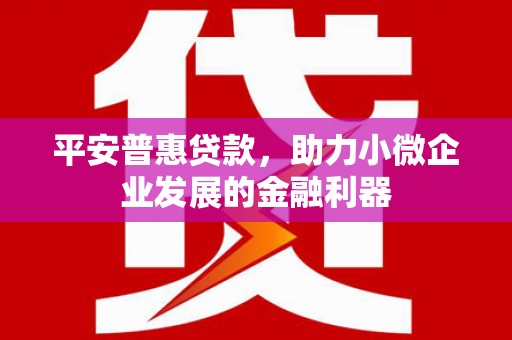 埔里平安普惠贷款，助力小微企业发展的金融利器