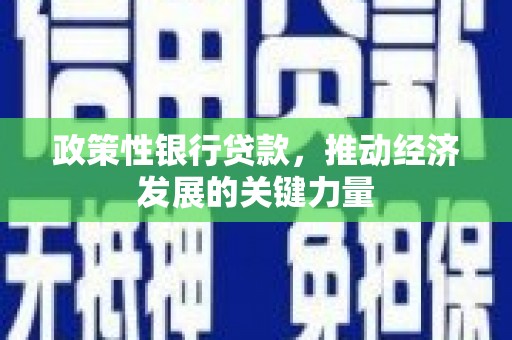 埔里政策性银行贷款，推动经济发展的关键力量