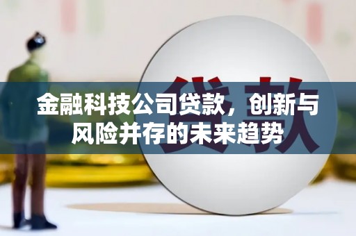 埔里金融科技公司贷款，创新与风险并存的未来趋势