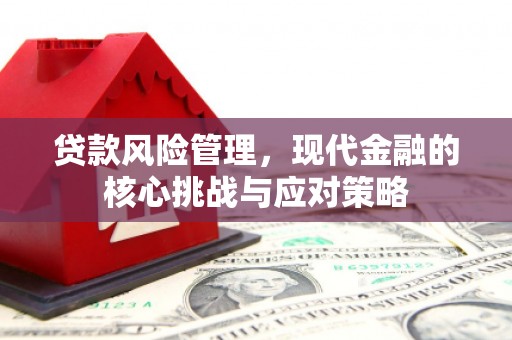 埔里贷款风险管理，现代金融的核心挑战与应对策略