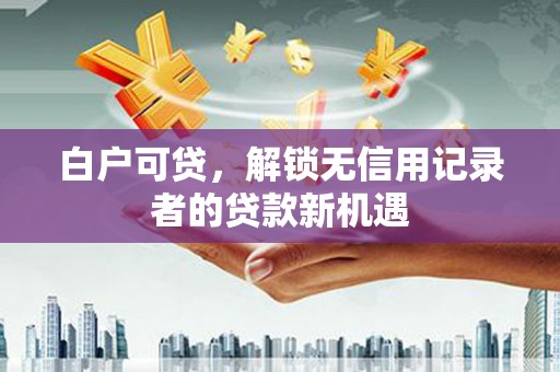 埔里白户可贷，解锁无信用记录者的贷款新机遇