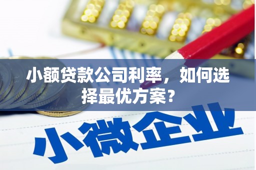 埔里小额贷款公司利率，如何选择最优方案？