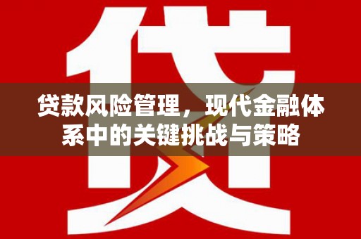 埔里贷款风险管理，现代金融体系中的关键挑战与策略
