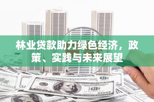 埔里林业贷款助力绿色经济，政策、实践与未来展望