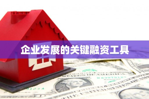 埔里企业发展的关键融资工具