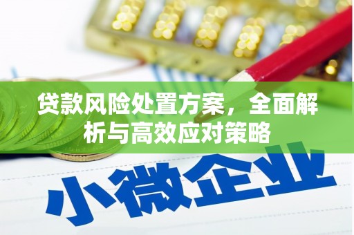 埔里贷款风险处置方案，全面解析与高效应对策略