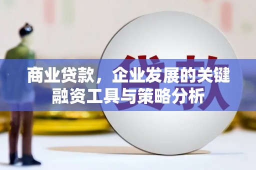 埔里商业贷款，企业发展的关键融资工具与策略分析