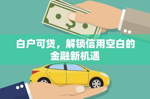 埔里白户可贷，解锁信用空白的金融新机遇