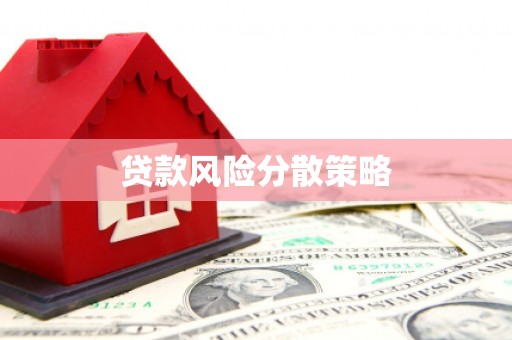 埔里贷款风险分散策略