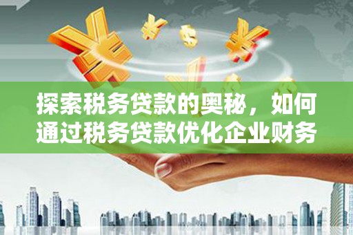 埔里探索税务贷款的奥秘，如何通过税务贷款优化企业财务