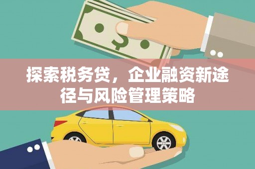 埔里探索税务贷，企业融资新途径与风险管理策略