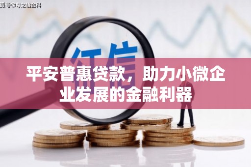 埔里平安普惠贷款，助力小微企业发展的金融利器
