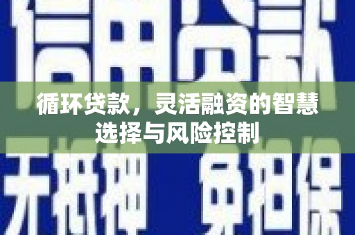 埔里循环贷款，灵活融资的智慧选择与风险控制