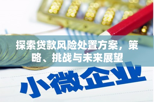 埔里探索贷款风险处置方案，策略、挑战与未来展望