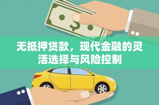 埔里无抵押贷款，现代金融的灵活选择与风险控制