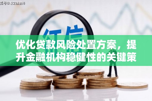 埔里优化贷款风险处置方案，提升金融机构稳健性的关键策略