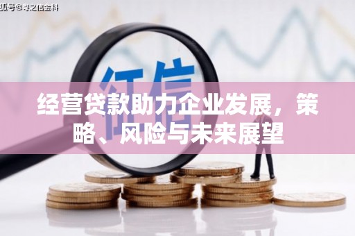 埔里经营贷款助力企业发展，策略、风险与未来展望