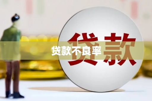 埔里贷款不良率