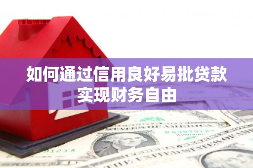 埔里如何通过信用良好易批贷款实现财务自由