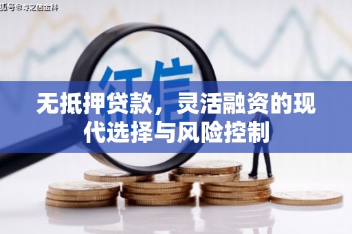 埔里无抵押贷款，灵活融资的现代选择与风险控制