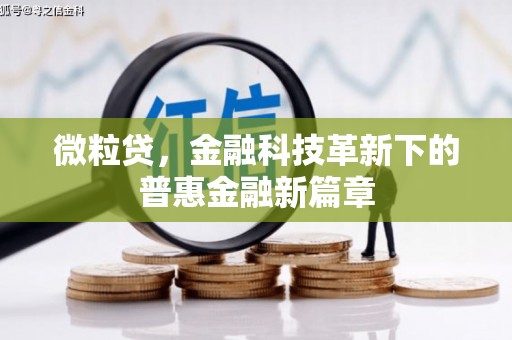 埔里微粒贷，金融科技革新下的普惠金融新篇章