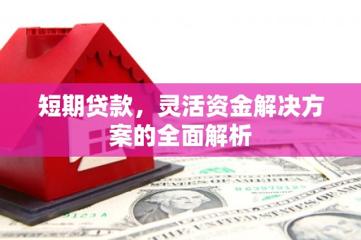 埔里短期贷款，灵活资金解决方案的全面解析