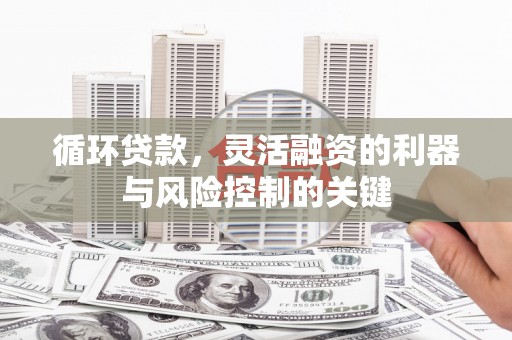埔里循环贷款，灵活融资的利器与风险控制的关键
