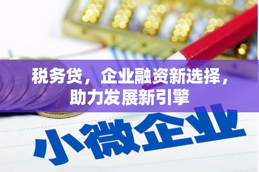 埔里税务贷，企业融资新选择，助力发展新引擎