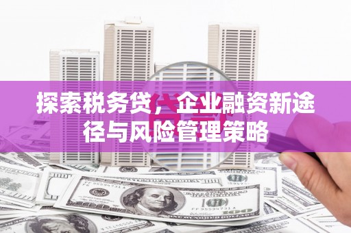 埔里探索税务贷，企业融资新途径与风险管理策略