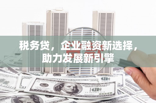 埔里税务贷，企业融资新选择，助力发展新引擎