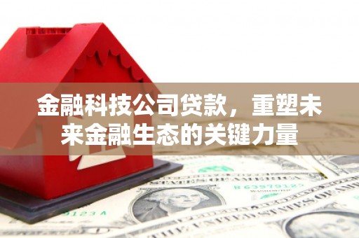 埔里金融科技公司贷款，重塑未来金融生态的关键力量