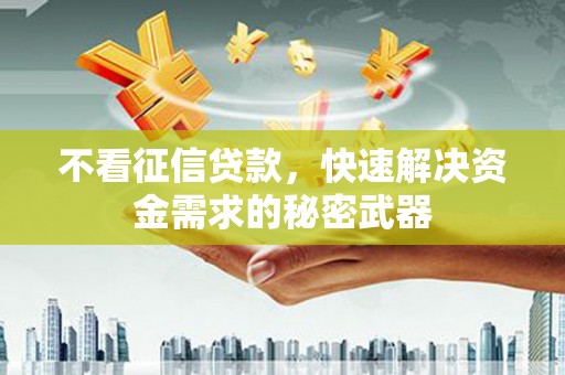 埔里不看征信贷款，快速解决资金需求的秘密武器