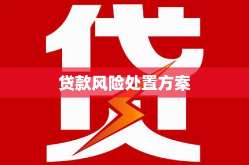 埔里贷款风险处置方案