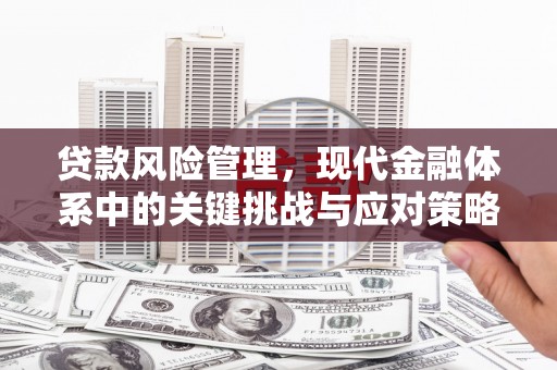 埔里贷款风险管理，现代金融体系中的关键挑战与应对策略
