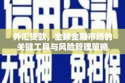 埔里外汇贷款，全球金融市场的关键工具与风险管理策略