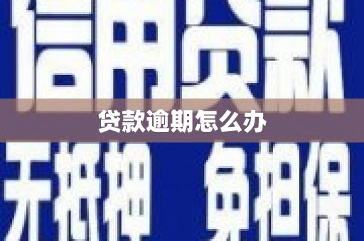 埔里贷款逾期怎么办