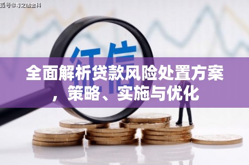 埔里全面解析贷款风险处置方案，策略、实施与优化