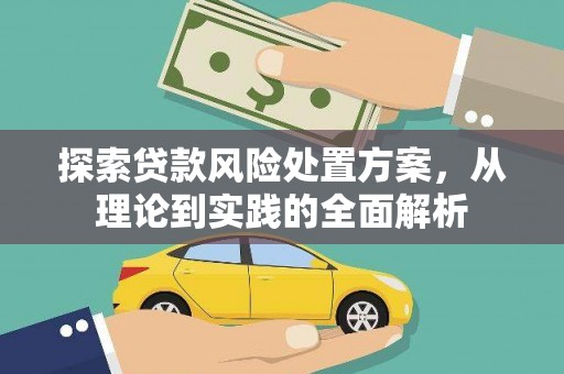 埔里探索贷款风险处置方案，从理论到实践的全面解析
