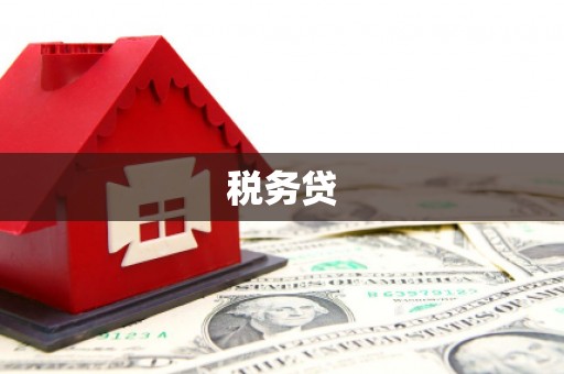 埔里税务贷
