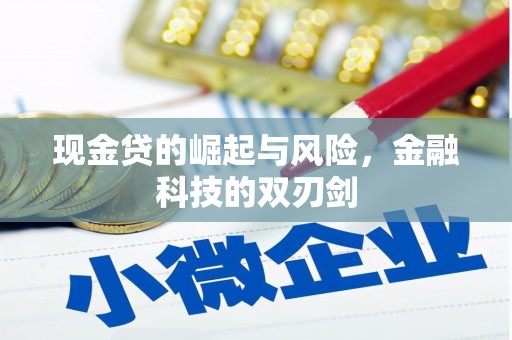 埔里现金贷的崛起与风险，金融科技的双刃剑