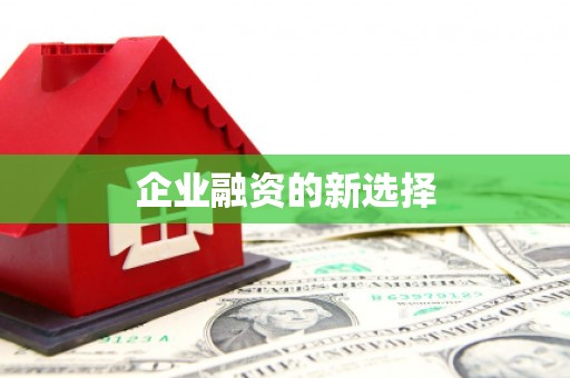 埔里企业融资的新选择