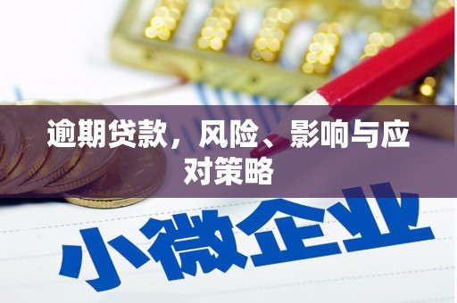 埔里逾期贷款，风险、影响与应对策略