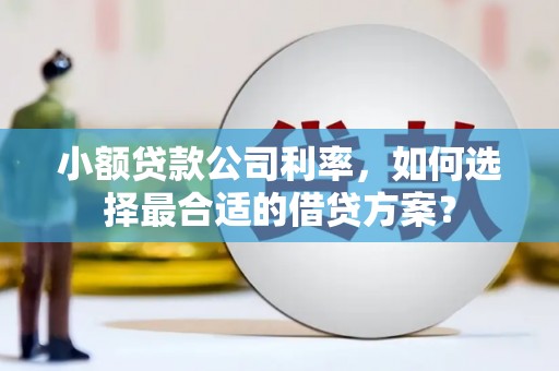 埔里小额贷款公司利率，如何选择最合适的借贷方案？