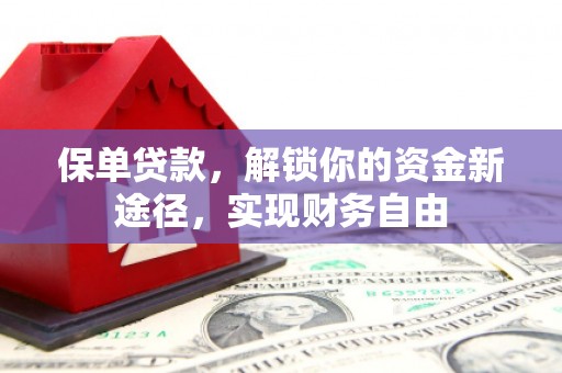 埔里保单贷款，解锁你的资金新途径，实现财务自由