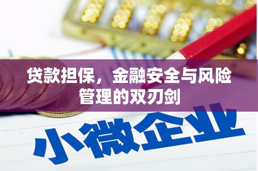 埔里贷款担保，金融安全与风险管理的双刃剑